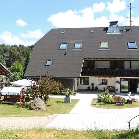 Апартаменты Haus Ingeborg Dachsberg im Schwarzwald Экстерьер фото