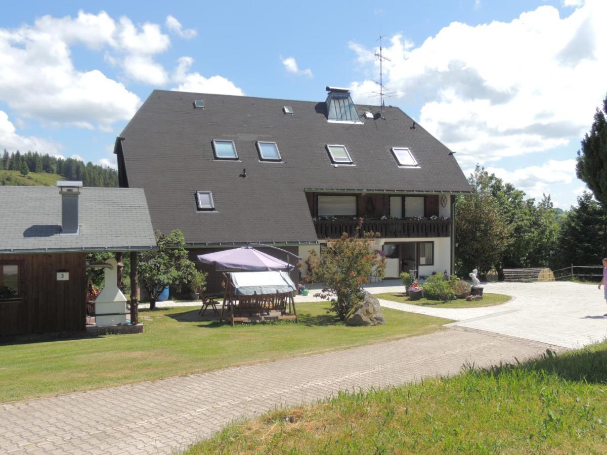 Апартаменты Haus Ingeborg Dachsberg im Schwarzwald Экстерьер фото